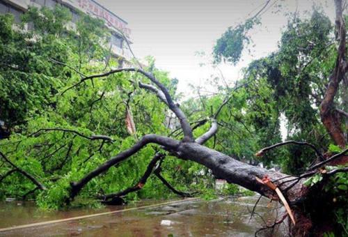 台风来袭 全场景防御指南请收好 台风来袭 全场景防御指南请收好